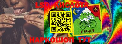 гидропоника Камышлов