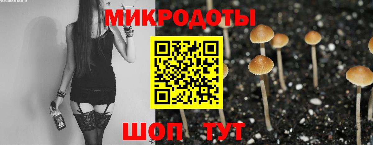 Арзамас  Галлюциногенные грибы мухоморы  Вход с VPN 