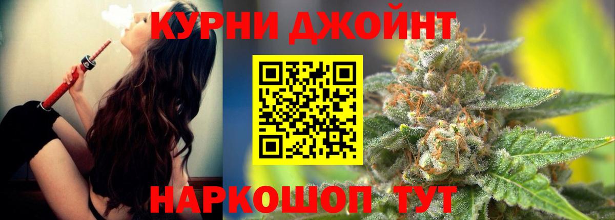 Конопля конопля Арзамас
